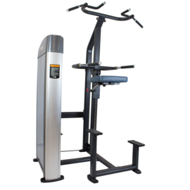 Máy tập xà đơn/xà kép Tiger Sport TGP-790