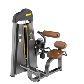 Back Extension Máy khối tập lưng Tiger Sport TM-F31
