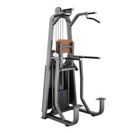 Dip/Chin Assist Máy khối xà đơn xà kép Tiger Sport TM-F09