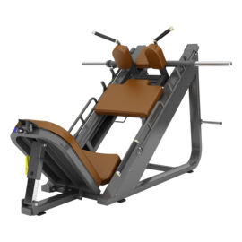 Leg Press & Hack Slide Máy đạp đùi ép đùi TM-F58