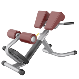 Roman Chair Ghế tập lưng eo TM-AN31