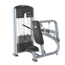 Seated Dip Máy khối tập tay sau TM-FF26Tiger Sport