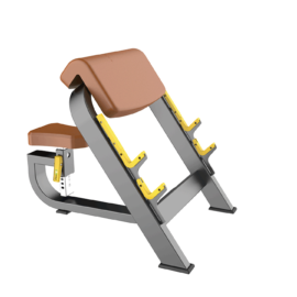 Seated Preacher Curl Ghế tập tay trước TM-F44