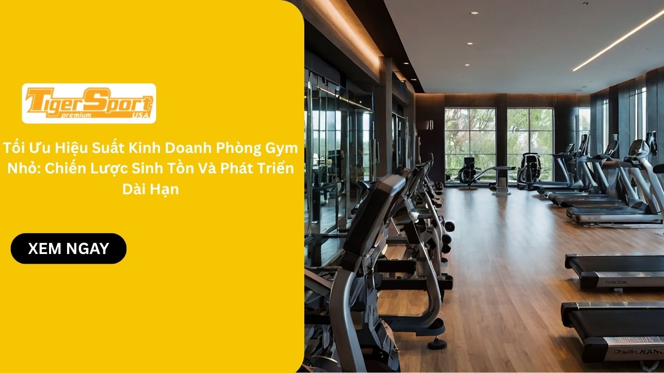 Tối Ưu Hiệu Suất Kinh Doanh Phòng Gym Nhỏ: Chiến Lược Sinh Tồn Và Phát Triển Dài Hạn