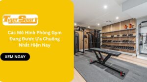 Các Mô Hình Phòng Gym Đang Được Ưa Chuộng Nhất Hiện Nay