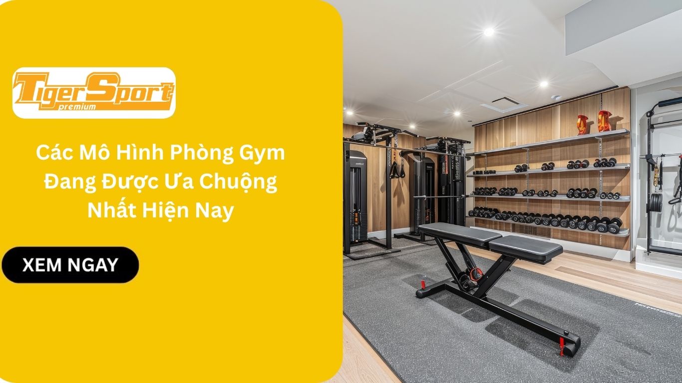Các Mô Hình Phòng Gym Đang Được Ưa Chuộng Nhất Hiện Nay