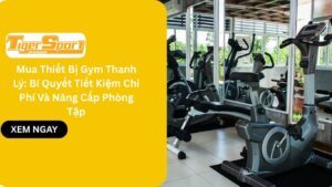 Mua Thiết Bị Gym Thanh Lý: Bí Quyết Tiết Kiệm Chi Phí Và Nâng Cấp Phòng Tập