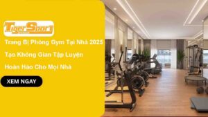 Trang Bị Phòng Gym Tại Nhà 2025 – Tạo Không Gian Tập Luyện Hoàn Hảo Cho Mọi Nhà