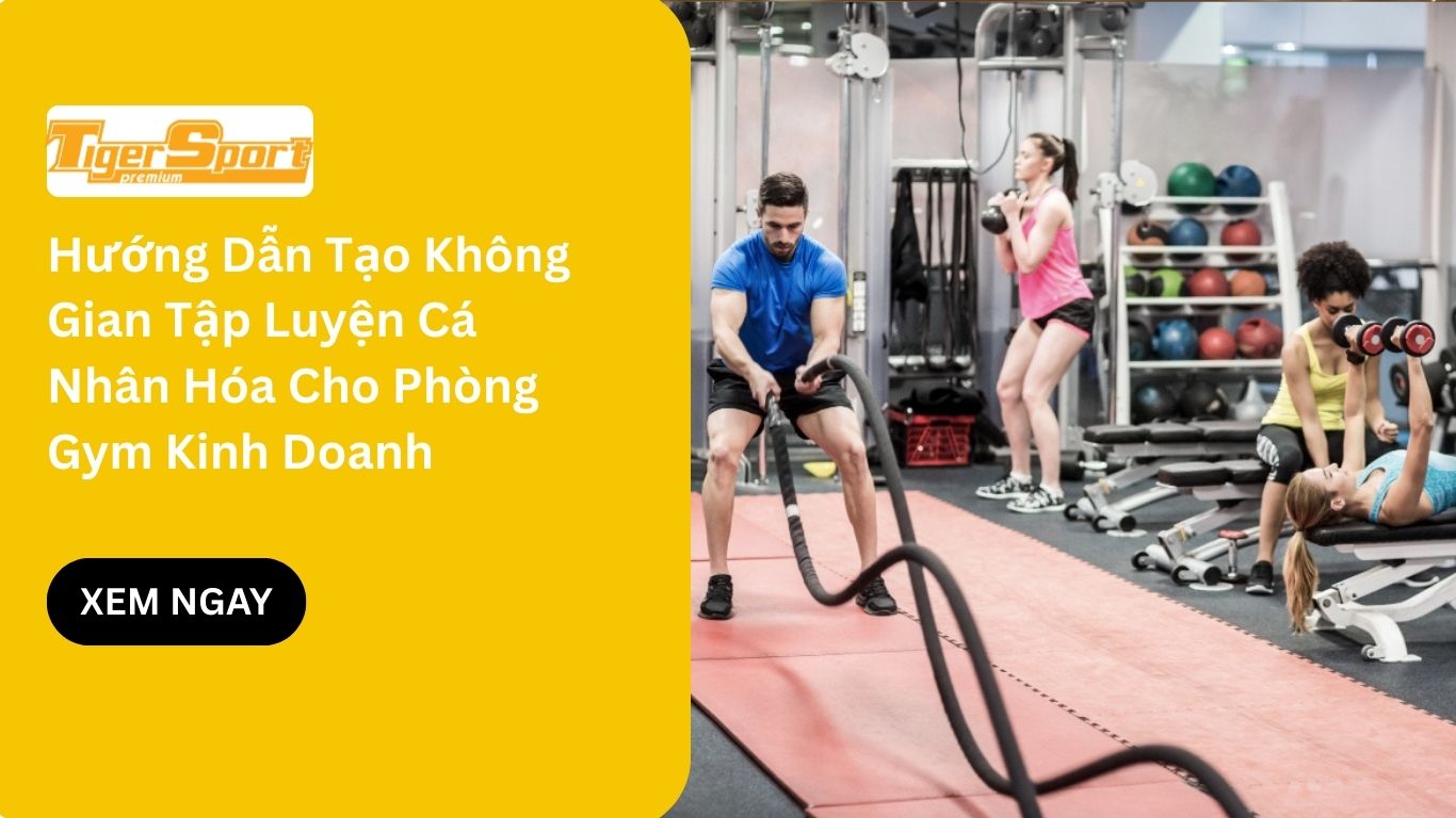 Hướng Dẫn Tạo Không Gian Tập Luyện Cá Nhân Hóa Cho Phòng Gym Kinh Doanh