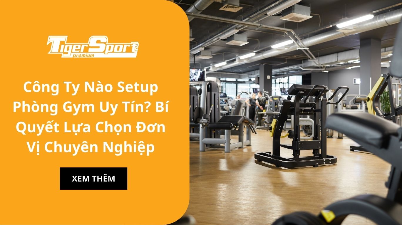Công Ty Nào Setup Phòng Gym Uy Tín? Bí Quyết Lựa Chọn Đơn Vị Chuyên Nghiệp