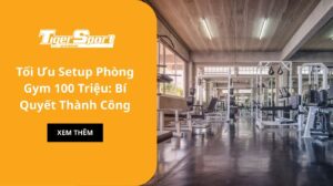 Tối Ưu Setup Phòng Gym 100 Triệu: Bí Quyết Thành Công