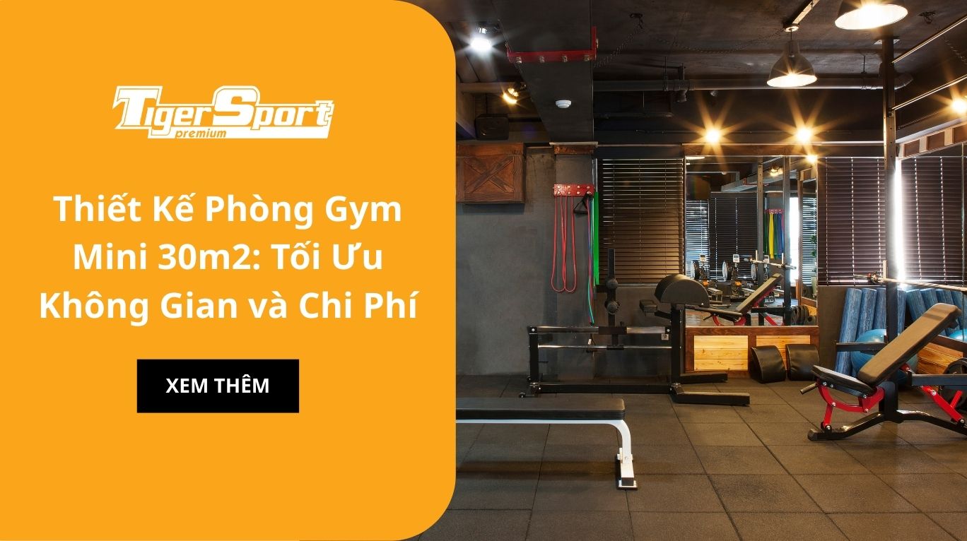 Thiết Kế Phòng Gym Mini 30m2: Tối Ưu Không Gian và Chi Phí