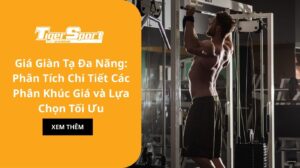 Giá Giàn Tạ Đa Năng: Phân Tích Chi Tiết Các Phân Khúc Giá và Lựa Chọn Tối Ưu