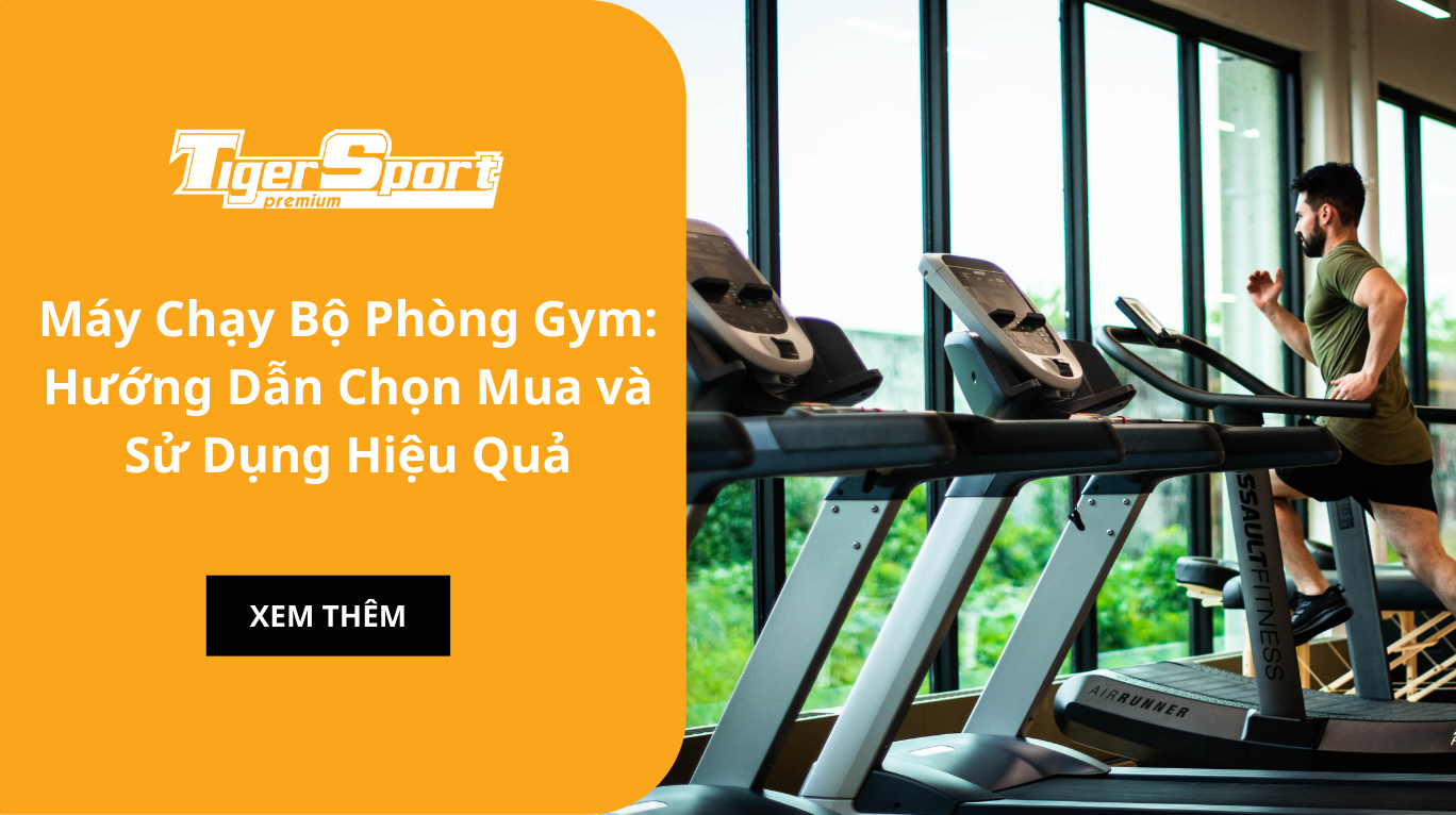 Máy Chạy Bộ Phòng Gym: Hướng Dẫn Chọn Mua và Sử Dụng Hiệu Quả