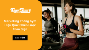 Marketing Phòng Gym Hiệu Quả: Chiến Lược Toàn Diện