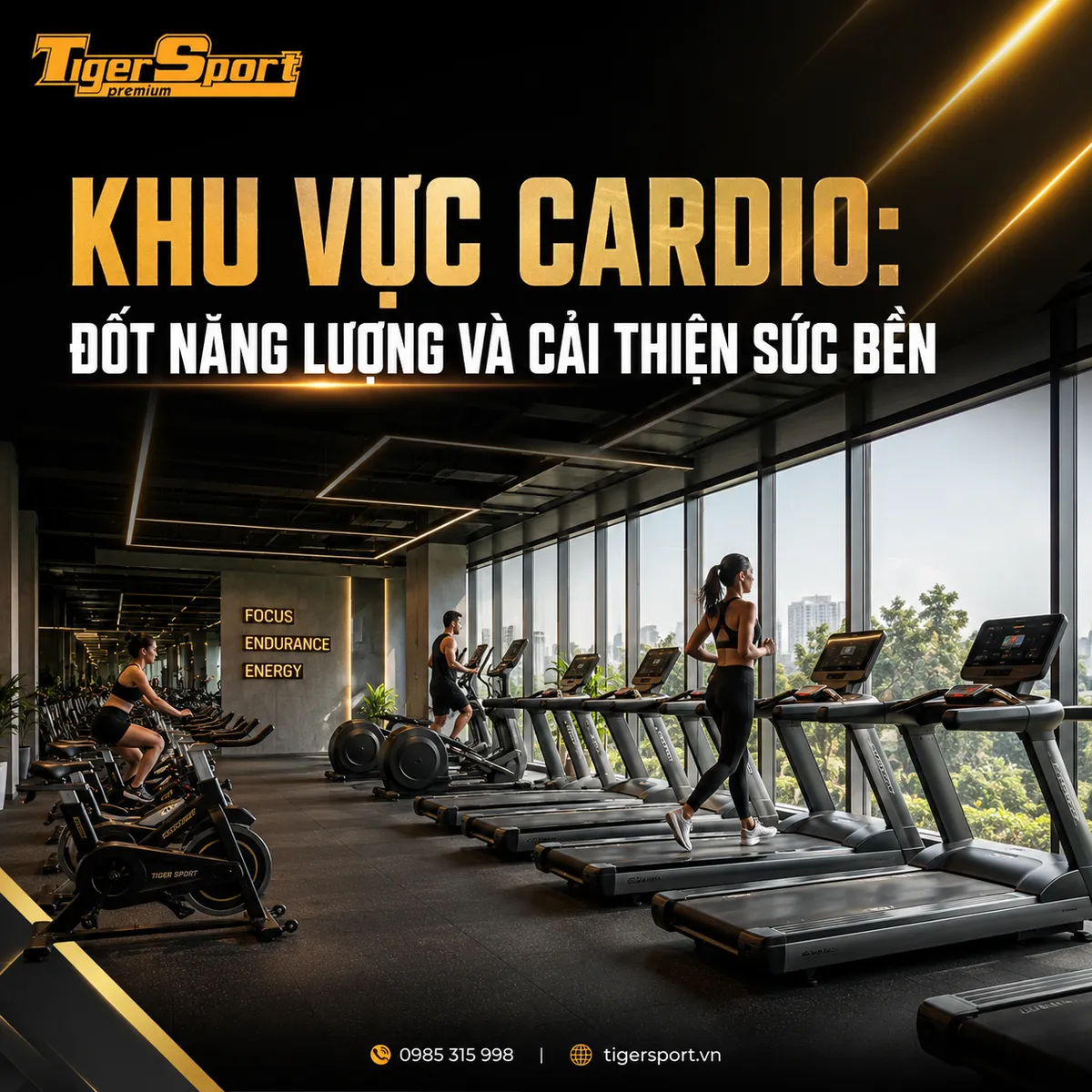 Khu vực cardio phòng gym 100m2 với hàng máy chạy bộ và xe đạp tập hiện đại, gọn gàng của Tigersport.