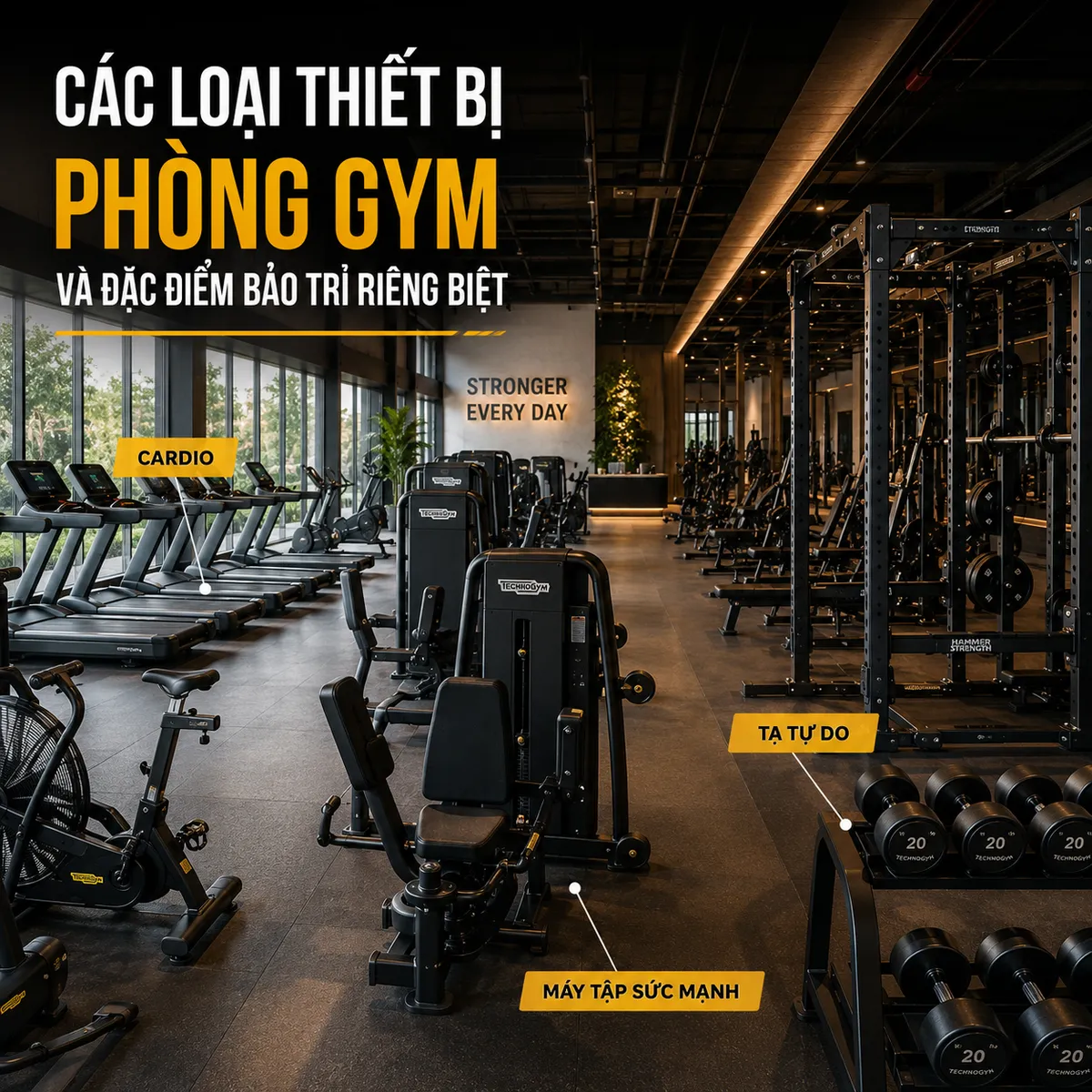 Hình ảnh tổng hợp các loại thiết bị phòng gym khác nhau, mỗi loại đều cần bảo trì thiết bị phòng gym chuyên biệt.