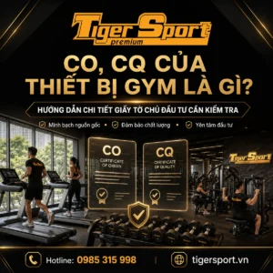 Phòng tập gym hiện đại với nhiều thiết bị tập luyện chất lượng cao, có chứng nhận CO và CQ, đảm bảo nguồn gốc và an toàn cho người sử dụng.