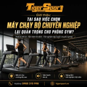 Hình ảnh tổng quan một phòng gym hiện đại với nhiều máy chạy bộ chuyên nghiệp đang hoạt động, nhấn mạnh tầm quan trọng của việc chọn máy chạy bộ phòng gym chất lượng cao.