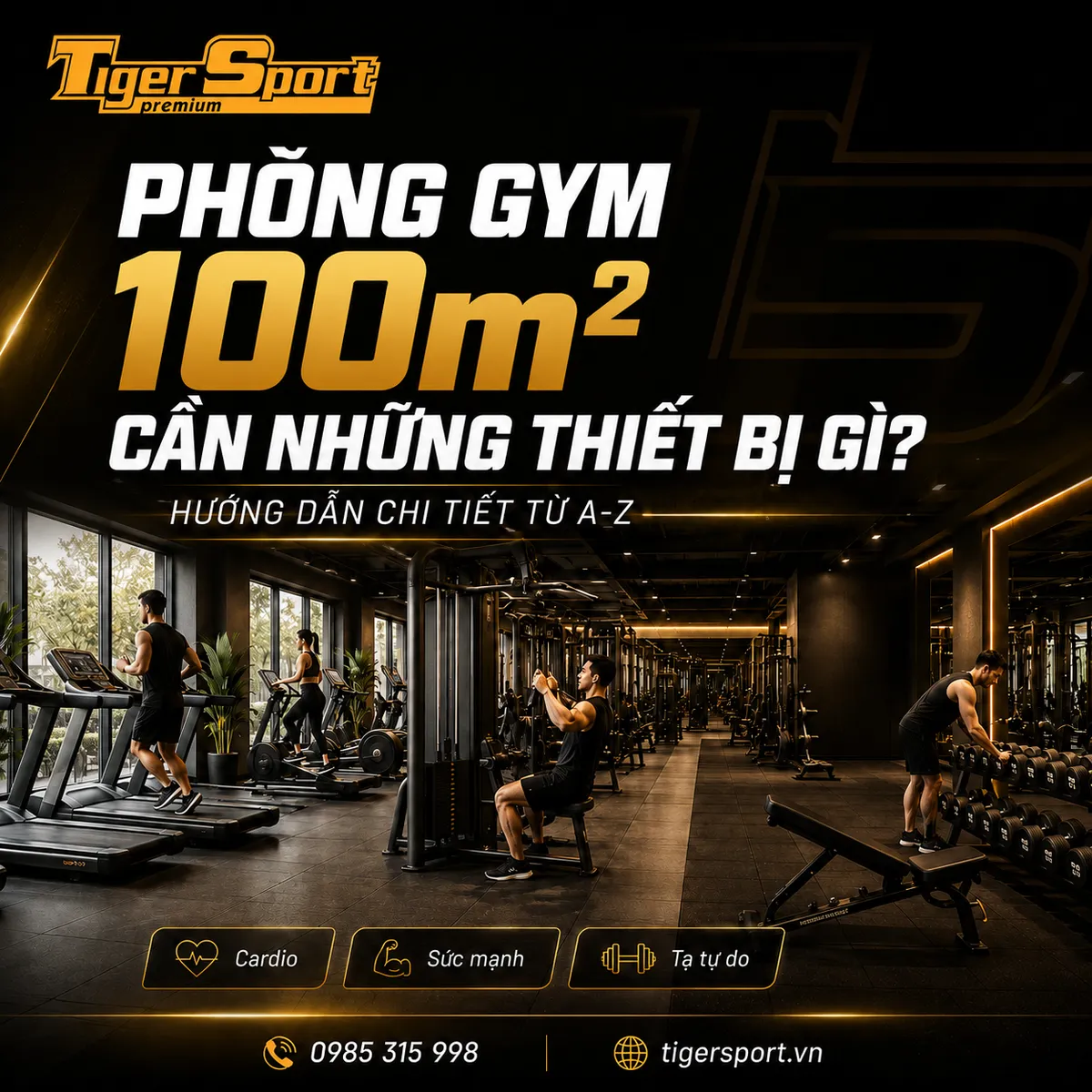 Tổng quan phòng gym 100m2 hiện đại, bố trí khoa học, đầy đủ thiết bị tập luyện của Tigersport.