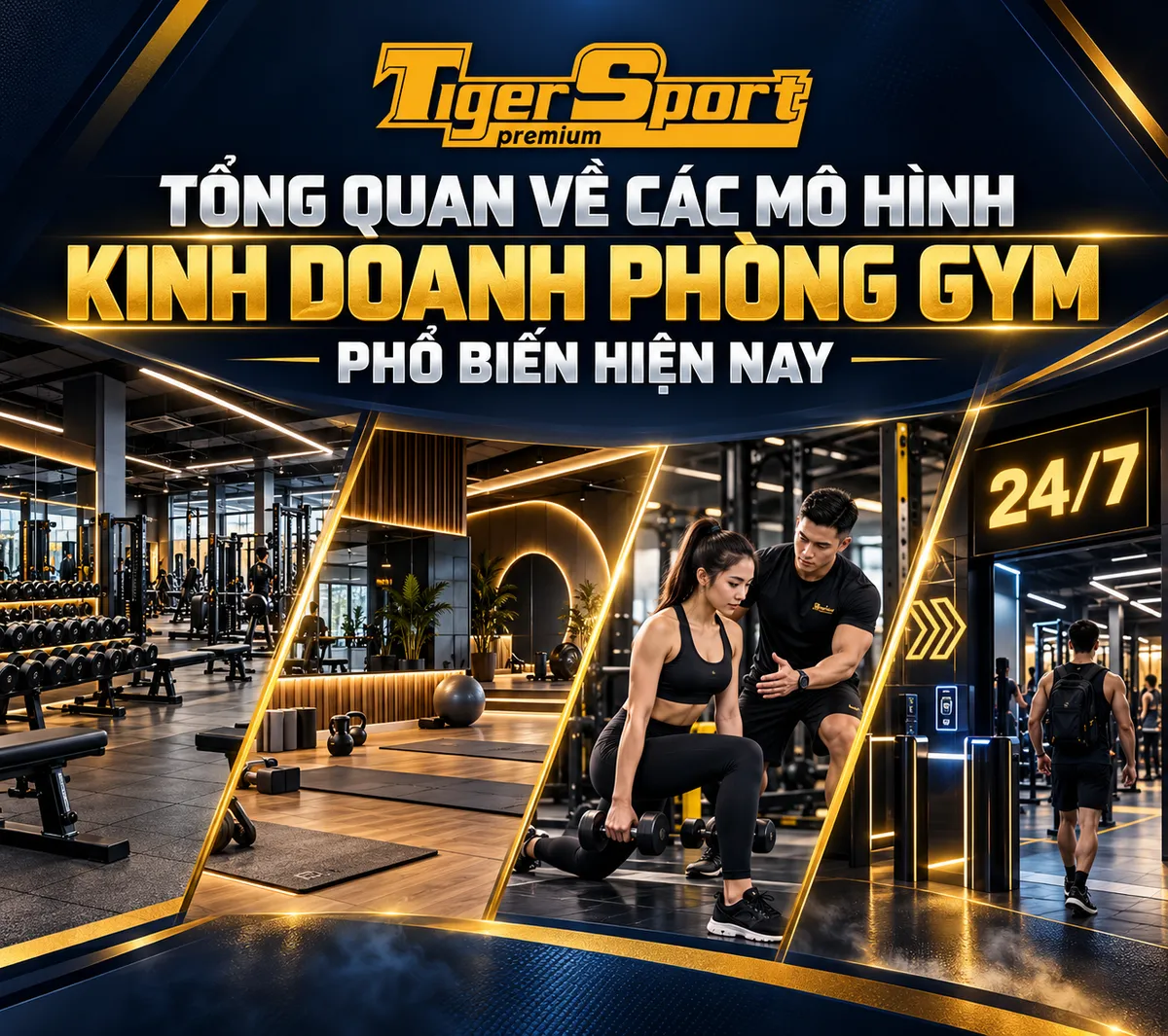 Hình ảnh phòng gym truyền thống rộng rãi với máy đạp đùi hiện đại và khu vực tập tạ, thể hiện mô hình full-service phù hợp để khởi nghiệp gym.